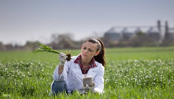 Обзор специальности: агроном