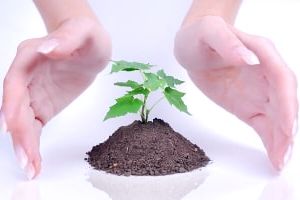 агроэкология