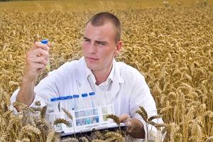 агрономия и агротехнология, сельскохозяйственная энтомология