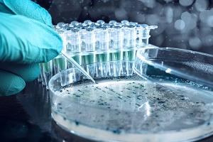 бактериология