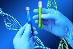 биологический спектральный анализ