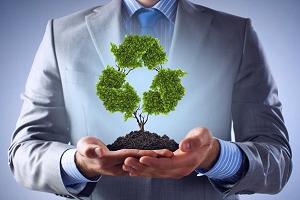 экологическая безопасность. менеджмент и аудит в экологической сфере