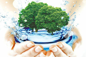 экологический аудит