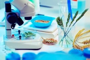 экспертиза технологии производства продукции растениеводства