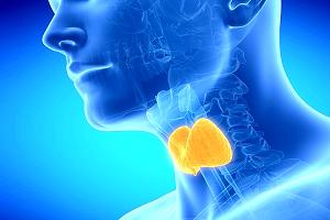 эндокринология