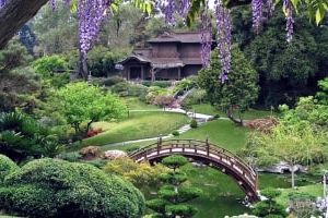 эстетика и дизайн ландшафта