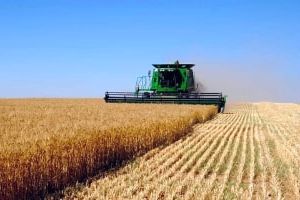 интенсивные ресурсосберегающие технологии возделывания сельскохозяйственных культур