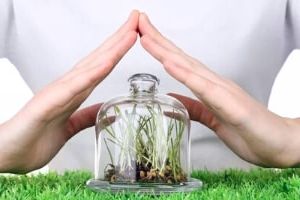 карантин сельскохозяйственных и цветочно-декоративных культур, лесной карантин