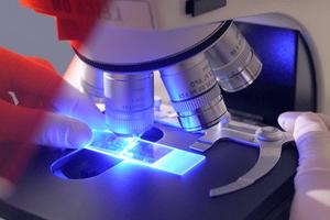 лабораторное дело в паразитологии