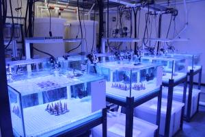 менеджмент качества