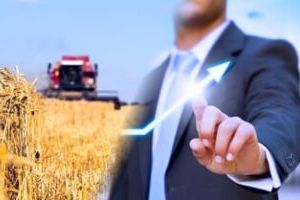 менеджмент в агропромышленном комплексе