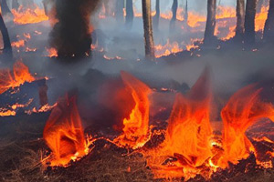 меры пожарной безопасности для руководителей организаций, лиц, назначенных руководителем организации ответственными за обеспечение пожарной безопасности, в том числе в обособленных структурных подразделениях организации
