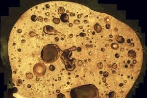 металлография и коррозионные испытания