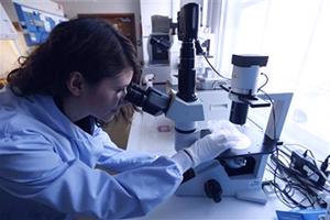 методы исследования санитарно - гигиенической лаборатории