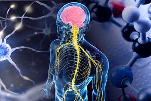 методика преподавания биофизики