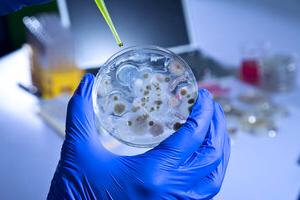 микробиология