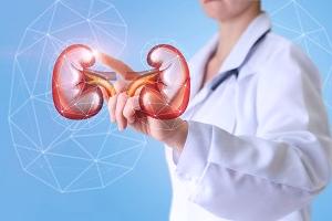 нефрология