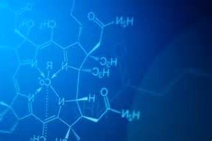 общая биохимия (для преподавателей вузов)