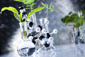 органическая химия