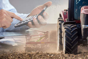 особенности бухгалтерского учета в сельском хозяйстве