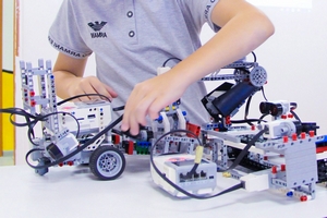 педагог дополнительного образования по робототехнике