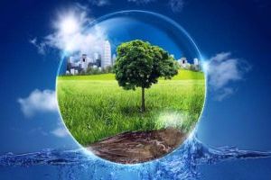 преподавание экологии в дошкольных учреждениях