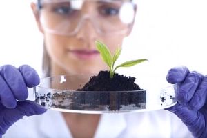 современные технологии производства и защиты растений