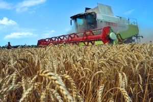 типы, качественные характеристики и параметры современных технологий производства продукции растениеводства