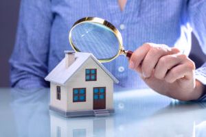 управление государственным и муниципальным имуществом. муниципальный земельный контроль